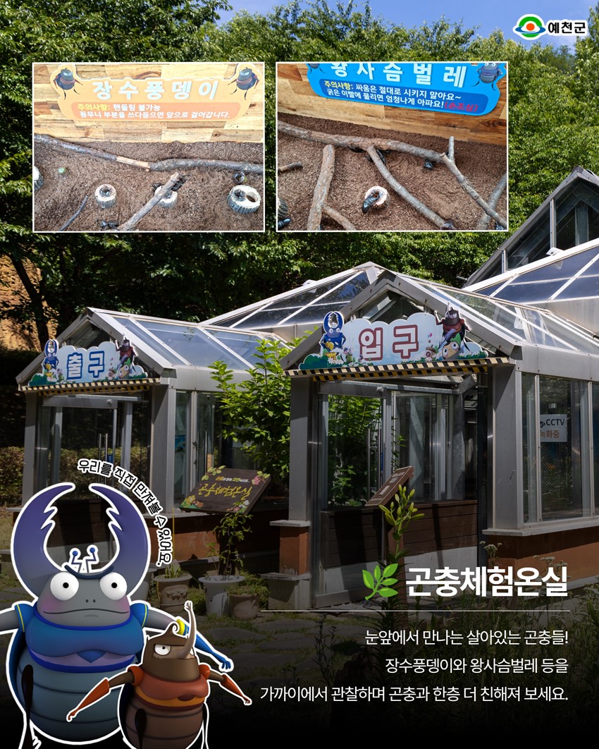 12.보고·배우고·체험하는 예천곤충생태원 시설 안내
